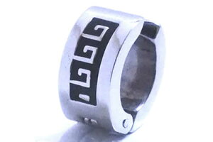 G^[i XeXCO (Ch) 1̔ i C[Jt ɂȂ Y fB[X Ў  T[WJXeX316L ރsAX ރCO ͂ AM[ C