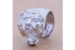 CIC[Jt/1̔ Y fB[X ͂   CO C[Nbv  tFCNsAX CJt tFCNsAX q Sb̉ Aj}   mz[