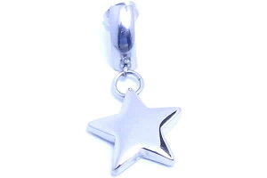 X^[_XeXsAX 1̔ ̃sAX 20G 20Q[W T[WJXeX316L Y fB[X Lb`sAX   gKX X^bhsAX lC  傫 V