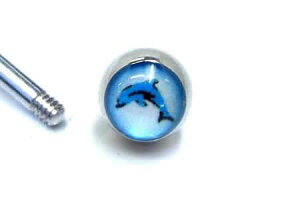 m14Gp {fBsAXplWp[cn eeX˂{[/14Q[W CJ htB Lb` T[WJXeX lW lW^Cv XN[ o[xp T[L[p ubg