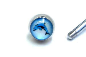 m16Gp 18Gp {fBsAXplWp[cn eeX˂{[/18Q[W 16Q[W CJ htB Lb` T[WJXeX lW lW^Cv XN[ o[xp T[L[