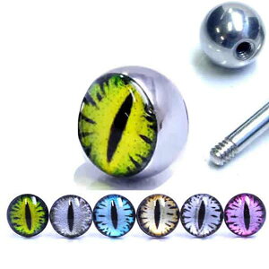 [14Gp {fBsAXplWp[c] Xl[NAC ˂{[ 14Q[Wp wr   ڋ Lb` T[WJXeX316L lW lW^Cv o[xp T[L[p ubgp ւ