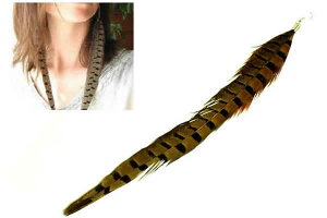 OtFU[XeXsAXiLWj 1̔ 20G 20Q[W {̉H T[WJXeX316L AJsAX tbNsAX tbNsAX Y fB[X AM[ H̃sA