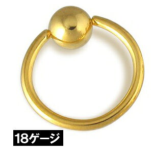 m 18G bL nS[h LveBur[YO 18Q[W O^ {fBsAX T[WJXeX316L AM[ Y fB[X a 傫  t@[XgsAX  