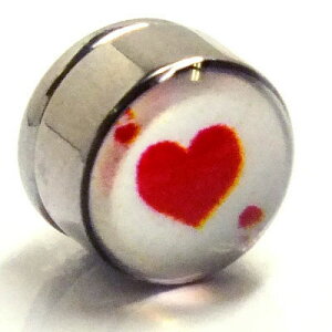 XeX}OlbgsAXin[gG[Xj gv  CO T[WJXeX316L Y fB[X lC  tFCNsAX {fBsAX vO^ 傫 ގ 