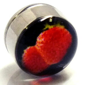 XeX}OlbgsAXiC`Sj  Xgx[ ʕ t[c  CO T[WJXeX316L Y fB[X lC  tFCNsAX {fBsAX vO