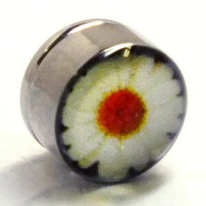 XeX}OlbgsAXi}[Kbgj t[   CO T[WJXeX316L Y fB[X lC  tFCNsAX {fBsAX vO^ 傫 