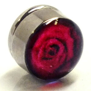 XeX}OlbgsAXiKNjo [Y  t[  CO T[WJXeX316L Y fB[X lC  tFCNsAX {fBsAX vO^ 傫 