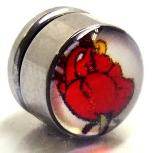 XeX}OlbgsAXiu[Nn[gj S  CO T[WJXeX316L Y fB[X lC  tFCNsAX {fBsAX vO^ 傫 ގ 