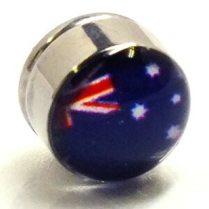 XeX}OlbgsAXiI[XgAj   CO T[WJXeX316L Y fB[X lC  tFCNsAX {fBsAX vO^ 傫 ގ 