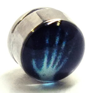 XeX}OlbgsAXigQFj   CO T[WJXeX316L Y fB[X lC  tFCNsAX {fBsAX vO^ 傫 ގ ޏ 