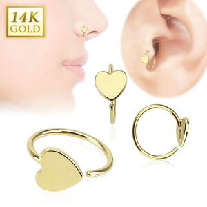 [ K14 O^ {fBsAX 20G ] 14 n[g V[XO 20Q[W n[g^ {̋  m[YO @sAX sAX wbNX gKX Y fB[X Zv^ CG