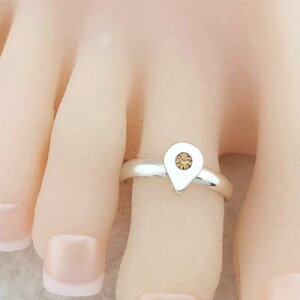 hbvWGgDO Vo[ CG[ F CXg[ WRjA ܌^ VYN^ ̎w g[O ̃O sL[O t[TCY fB[X `bvO ~