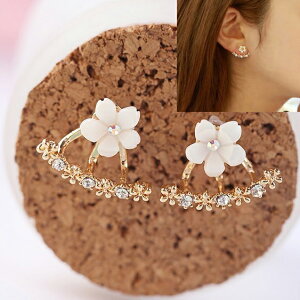 S[ht[NX^[obNLb`sAX/1yA  NX^ LL Vo[ zCg F WPbgsAX obNLb` fB[X  w Ǝ p[eBW