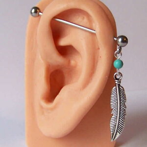 [14G C_XgA o[x]tFU[`[ Xg[go[x 14Q[W {fBsAX Ko[x Y fB[X CfBAWG[ a Oo[x 