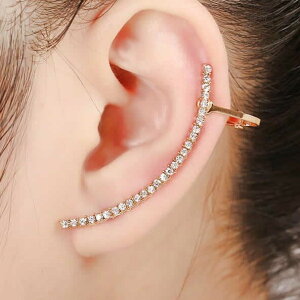 ubWC[tbNsAX C[Jt fB[X NX^ rW[ i l  Nbv CO \  Ǝ w Vo[ S[h ɂ C[Nbv