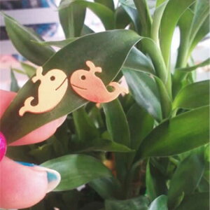 zG[XeXsAX/1̔ NW ~  Vo[ CG[S[h sNS[h T[WJXeX316L 20G 20Q[W fB[X Y yApƂĂ Lb`sAX 