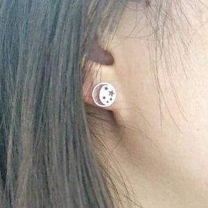 XeXsAX/1̔   X^[ Vo[ S[h sNS[h T[WJXeX316L 20G 20Q[W fB[X Y yApƂĂ Lb`sAX   F 