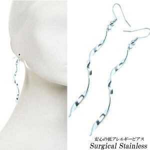 OcCXgAJsAX 1̔ T[WJXeX316L XeXsAX tbNsAX Y fB[X h 20G 20Q[W Ђ^Cv Vv Y  2 p