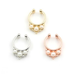 [Up[ mz[sAX ^ tFCNO mz[ t[vsAX 1̔ Vo[ S[h sNS[h tFCN@sAX Zv^ m[YNbv   C[