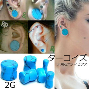 [ VR΃{fBsAX 2G gR ] ^[RCYvO 2Q[W 2Ga {fB[sAX F̃Xg[ u[ AM[Ή Y fB[X CfBAWG[ _utA p