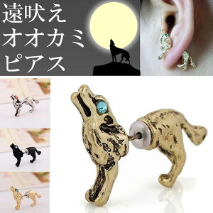 IIJ~obNLb`sAX/1̔ T Et Ck hbO  Aj}   WPbgsAX tBMA 3D  Y fB[X     Vo[ F F 