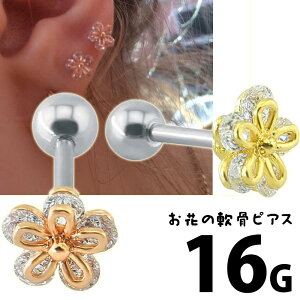 Ԃ̓sAX Xg[go[x 16Q[W 16G CG[S[h sNS[h bL F t[ Vv l Y  w wbNX  {fBsAX gKX A