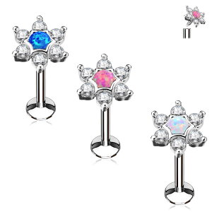 [ 16G tlW {fBsAX ] Ip[X^[ ubg lW VRΕ {fB[sAX  16Q[W T[WJXeX316L Y fB[X Vo[  t[ u[ sN zC