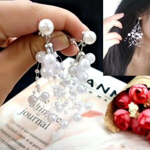 vp[CO(1yA)  C~e[V ^ fB[X C[Jt C[Nbv ͂   \ p[eB v[g Mtg mz[sAX Ԃ zCg