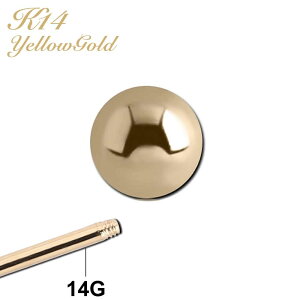 [14 14Gp {fBsAX lWp[c] 14 {fBsAX lW Lb` 14Q[Wp   { K14 14K CG[S[h p[c lW lW^Cv o[xp T[L[p ubgp