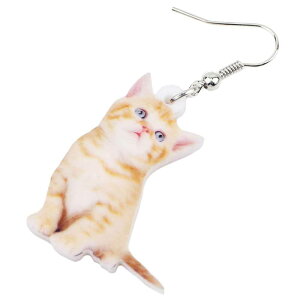 xr[Lbg AXeXsAX/1̔ 20G 20Q[W lR̐Ԃ L Aj}   lC  IV T[WJXeX316L j[N Y fB[X h 