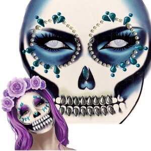 tFCXpiڌEACu[pj WF{fBXebJ[ (TN`A) 1V[g \ V[ ANZT[ NX^ fB[X Y j   ʔ  CXg[ h