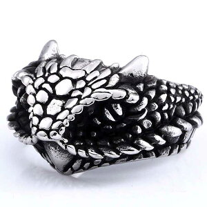 xr[hSXeXOiSTR008jTCY/18/19/20/21/22/23/24/25/26   w T[WJXeX316L Y fB[X yAO v[g Mtg   L