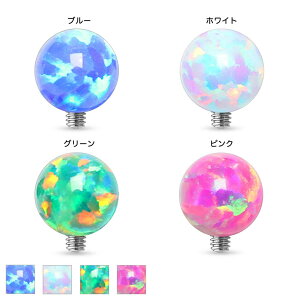 [14Gp lWp {fBsAX Lb`] Ip[Xg[ C^[i lWRp[c 14Q[W T[WJXeX316L tlW o[xp ubgp _[}AJ[p T[tFCX
