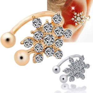 Xm[NX^C[Jt/1̔   _rfX^[ NX^ CZ WRjA CO C[Nbv tFCNsAX   Y fB[X ͂ mz[sAX S[