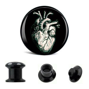 AN^bp[tAiSj 2Q[W 2G 0Q[W 0G 00Q[W 00G 12.0mm 12mm 1/2 n[tC` {fBsAX Y fB[X AM[Ή  lW^Cv v[g Mtg  v