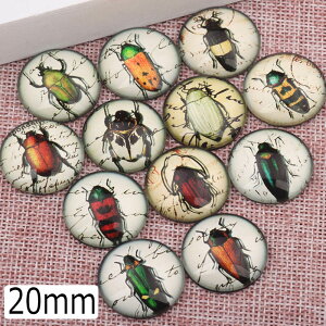 20mmJ{[VKXp[c/5A\[g ANZT[ sAX CO lC fR[V  X}z Ntg DIY nhCh  낢 ʔ J{V h[ ~