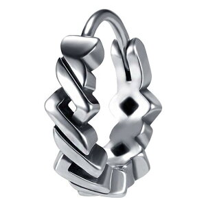 SUS316L ubW t[vsAX 1̔ OsAX Vo[ F 18G 18Q[W   XeXsAX Y fB[X wbNX gKX lC   j̐l 