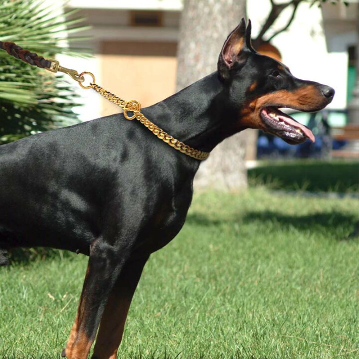 ステンレス2面喜平 犬用首輪 苦し 