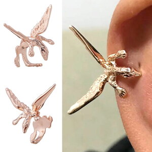 sNS[h hS C[Jt 1̔ mz[sAX CO F Y fB[X    3D 낢 j[N   H  j   lC M