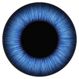 ブルーアイカボーションガラスパーツ 12mm 16mm 18mm 20mm 25mm アクセサリー ピアス イヤリング ネイル デコレーション 爪 スマホ クラフト DIY ハンドメイド おもしろい 面白い カボション ドーム 人形の眼 ぬいぐるみの目 眼球 ハロウイーン オバケ 青色 黒目
