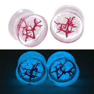 [{fBsAX AN _utA ] OEXNAvO {fB[sAX 2G 2Q[W 0G 0Q[W 00G 00Q[W 12mm 12.0mm 12~ Y fB[X F  O[  ubNCg 