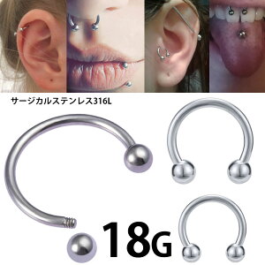 [18G {fBsAX] T[L[o[x 1̔ 18Q[W {fB[sAX lW{[   Lb` Vv  v[ Y fB[X XNp[ wbNX  T[WJ