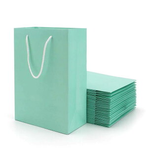ギフト用手提げペーパーバック(M) 1個販売 紙袋 グリーン 緑色 プレゼント用 アクセサリー用 クッキー 手作り ラッピング用品 プレゼント包装 誕生日 記念日 ホワイトデー クリスマス バ