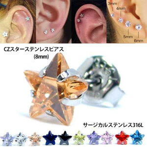 CZCX^[XeXsAXi8mmj 1̔ Ē Ē ^ Y fB[X 20G 20Q[W T[WJXeX316L Lb`sAX X^bhsAX L[rbNWRjA w
