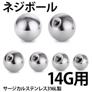 [14Gp {fBsAX lWp[c] XeX˂{[ 14Q[W  傫   Lb` T[WJXeX316L lW lW^Cv XN[ o[xp T[L[p u