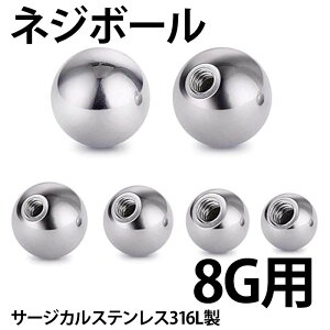 [8Gp {fBsAX lWp[c] XeX˂{[ 8Q[W  傫   Lb` T[WJXeX316L lW lW^Cv XN[ o[xp T[L[p ub