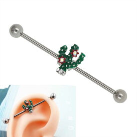 楽天市場 サボテン ジュエリー アクセサリー の通販