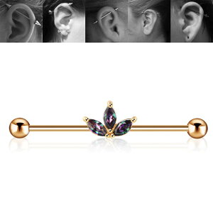 [14G C_XgA o[x] I[[t S[h Xg[go[x 14Q[W {fBsAX T[WJXeX316L Ko[x Y fB[X Oo[x  