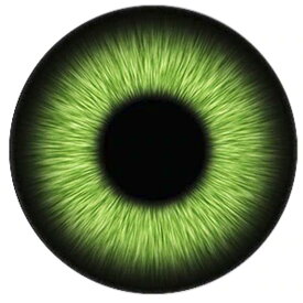 グリーンアイカボーションガラスパーツ 12mm 16mm 18mm 20mm 25mm アクセサリー ピアス ペンダント トップ 指輪 ネイル デコレーション 爪 スマホ クラフト DIY ハンドメイド カボション ドーム 人形の眼 ぬいぐるみの目 眼球 緑色 黒目 ヌイグルミ 製作 オリジナル 貼り付け